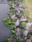 img010.jpeg.small.jpeg