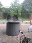 img006.jpeg.small.jpeg