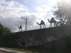 img022.jpeg.small.jpeg