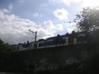 img023.jpeg.small.jpeg
