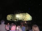 img010.jpeg.small.jpeg