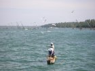 img019.jpeg.small.jpeg