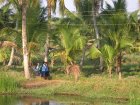 img035.jpeg.small.jpeg
