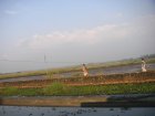 img037.jpeg.small.jpeg
