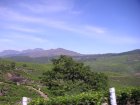 img035.jpeg.small.jpeg