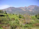 img043.jpeg.small.jpeg