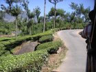 img045.jpeg.small.jpeg