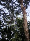 img055.jpeg.small.jpeg