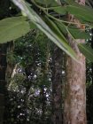 img056.jpeg.small.jpeg