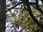 img064.jpeg.small.jpeg