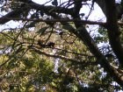 img065.jpeg.small.jpeg