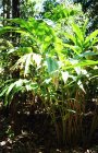 img074.jpeg.small.jpeg