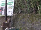 img082.jpeg.small.jpeg