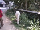 img084.jpeg.small.jpeg