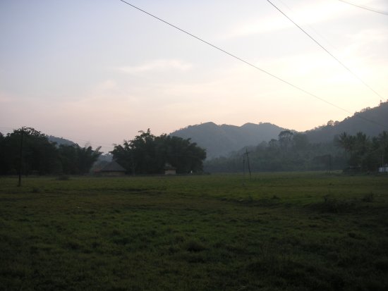 img087.jpeg.medium.jpeg
