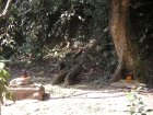 img096.jpeg.small.jpeg