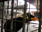 img034.jpeg.small.jpeg