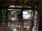 img036.jpeg.small.jpeg