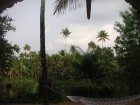 img004.jpeg.small.jpeg