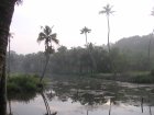 img008.jpeg.small.jpeg