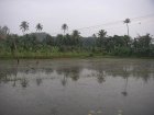 img010.jpeg.small.jpeg