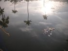 img012.jpeg.small.jpeg