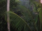 img014.jpeg.small.jpeg