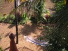 img015.jpeg.small.jpeg
