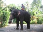 img047.jpeg.small.jpeg