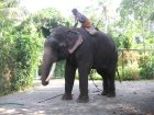 img048.jpeg.small.jpeg