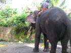 img049.jpeg.small.jpeg