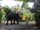 img050.jpeg.small.jpeg