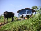 img076.jpeg.small.jpeg