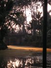 img080.jpeg.small.jpeg