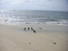img113.jpeg.small.jpeg