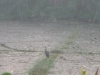img139.jpeg.small.jpeg