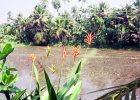 img145.jpeg.small.jpeg
