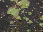 img147.jpeg.small.jpeg