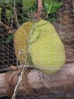 img156.jpeg.small.jpeg