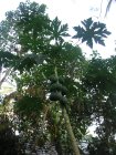 img164.jpeg.small.jpeg